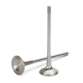 Supertech Honda F20C1/F22C1 Inconel Exhaust Valve - +1mm Oversize - Set of 8
