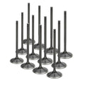 Supertech BMW N54 Black Nitrided Intake Valve - Set of 12 (Use w/Locks KPR-5.0 / 7S)