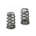 Supertech Ford ECOBOOST 1.5L/1.6L Beehive Valve Spring Kit