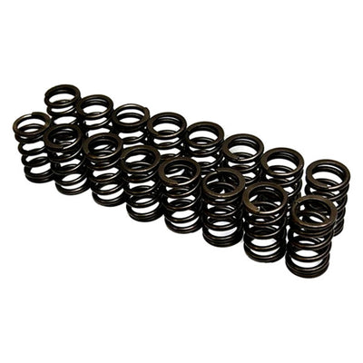 Brian Crower Nissan SR20DE Single Valve Springs (Set of 16)