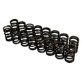 Brian Crower Nissan SR20DE Single Valve Springs (Set of 16)