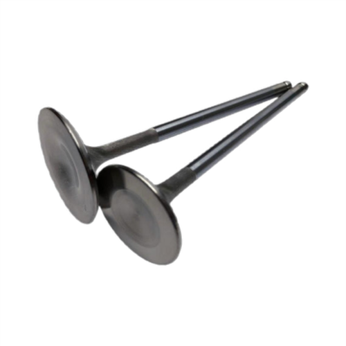 Brian Crower Nissan TB48 39.5mm Intake Valves
