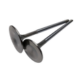Brian Crower Nissan TB48 39.5mm Intake Valves