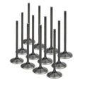 Supertech BMW M50/M52/S50/S52 Black Nitrided Intake Valve - Set of 12