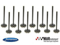 Supertech BMW M50/M52/S50/S52 Black Nitrided Intake Valve - Set of 12