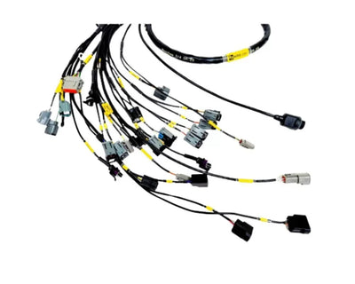 Rywire 13B Haltech Mil-Spec Eng Harness w/Chassis Specific Adapter