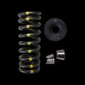 Brian Crower Honda L15B7 Spring & Steel Retainer Kit