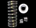 Brian Crower Honda L15B7 Spring & Steel Retainer Kit