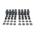 .660" Polished Dual Spring Kit
