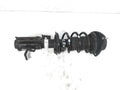 Left Hand Strut Assembly