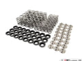 Supertech BMW S42/M42/M50/S50/M52/M54 Dual Valve Spring Kit