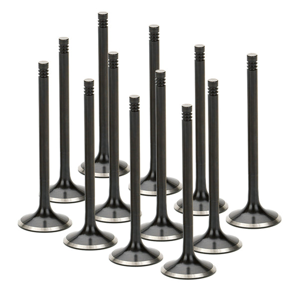 Supertech BMW S38 Black Nitrided Exhaust Valve - Set of 12