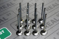 Brian Crower Toyota 7MGTE/7MGE 27.5mm Exhaust Valves