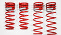 Tanabe NF210 Springs 04-09 Toyota Prius