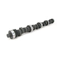XE 250/256 Hyd Flat Cam for Ford 351W