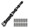 COMP Cams Cam & Lifter Kit CS XE256H-10