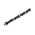 Oval Track 250/256 S-Flat Cam Ford 351W