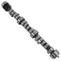 Mag 215/215 H-Roller Cam Chevrolet 4.3L