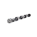 Oval Track 276/284 Solid Roller Cam SBC