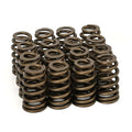 LSR Rect Port 251/267 H-Rlr Cam GM LS