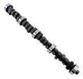 Magnum 230/230 Hyd Flat Cam Ford 351W