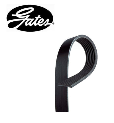 Gates 08-09 Acura CSX / 06-11 Honda Civic / 10-12 BMW 550I/X5 / 12 BMW 650I/760LI Micro-V Belt