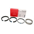 Mahle Rings Ford Trk 6.0L 363 CID Powerstroke Turbo Diesel 2003-2004 Moly Ring Set