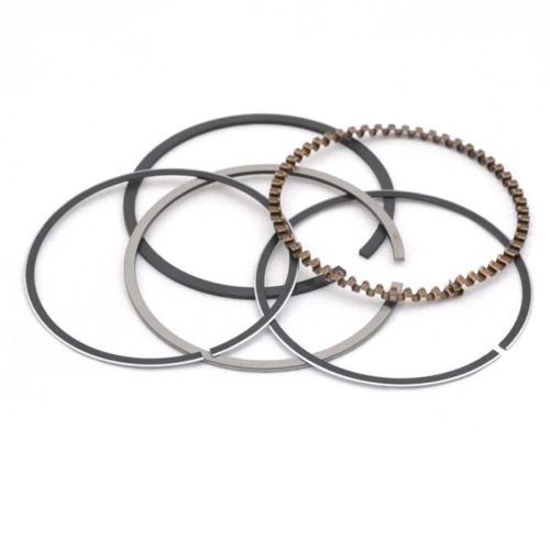 Mahle Rings Case Checker 318 Eng 59-66 Chry 318 5.2L Eng 75-89 Chry Ind Engs Moly Ring Set