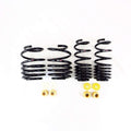 RS-R 2023 Honda Civic Type R (FL5) Best-i Active Coilovers