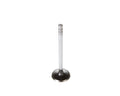 Exhaust Valve