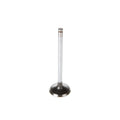 Exhaust Valve
