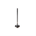 Exhaust Valve