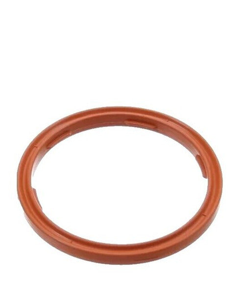 Fuel Injection Plenum Gasket - 11-10710-01