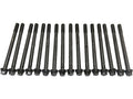 Engine Cylinder Head Bolt Set - 14-10163-01