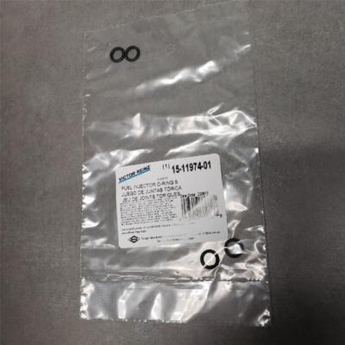 Fuel Injector O-Ring Kit - 15-11974-01