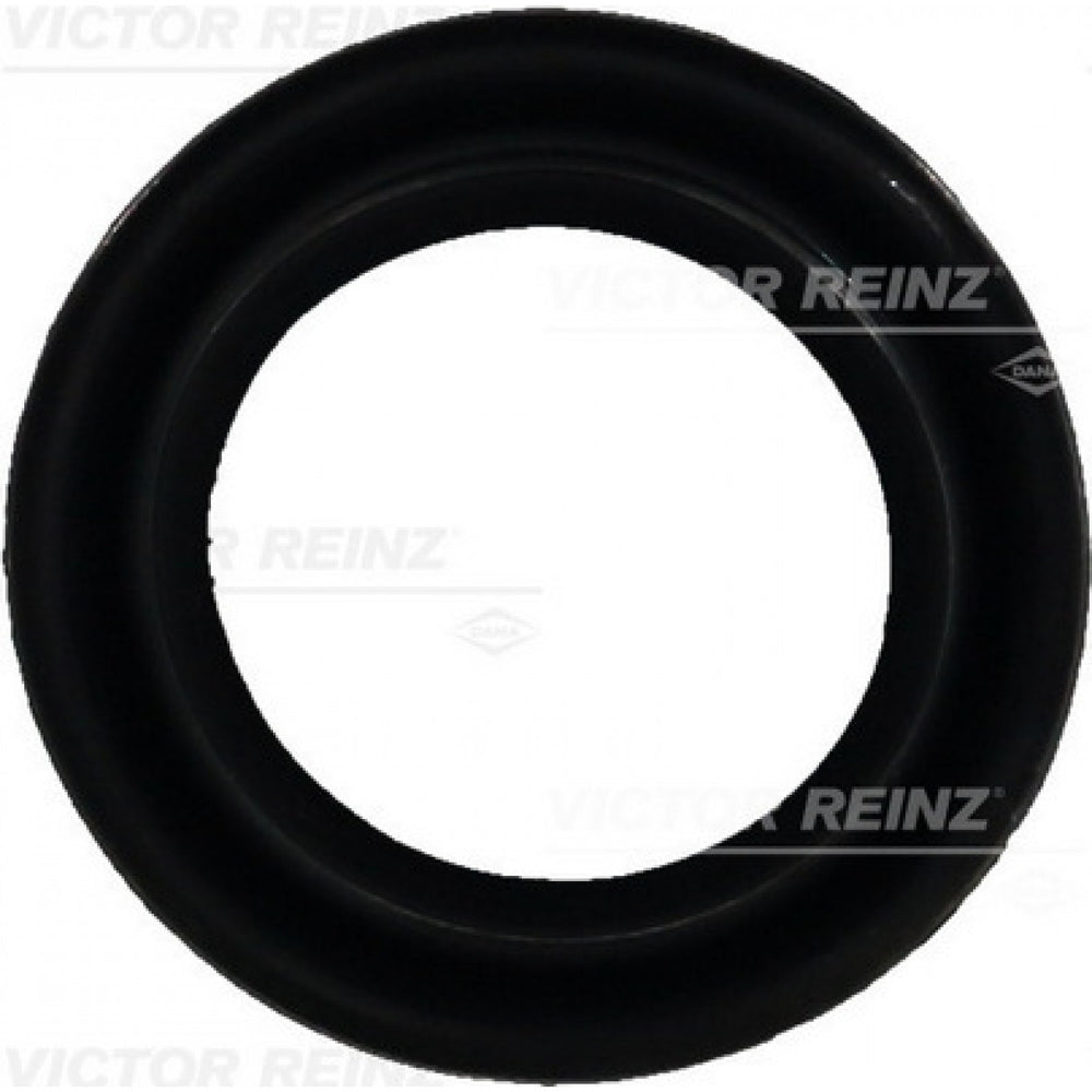 Fuel Injection Plenum Gasket - 71-25876-00