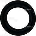 Fuel Injection Plenum Gasket - 71-25876-00