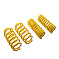 ST LOWERING SPRINGS