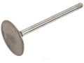 Exhaust Valve