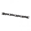 Oval Track 240/242 Solid Flat Cam SBC