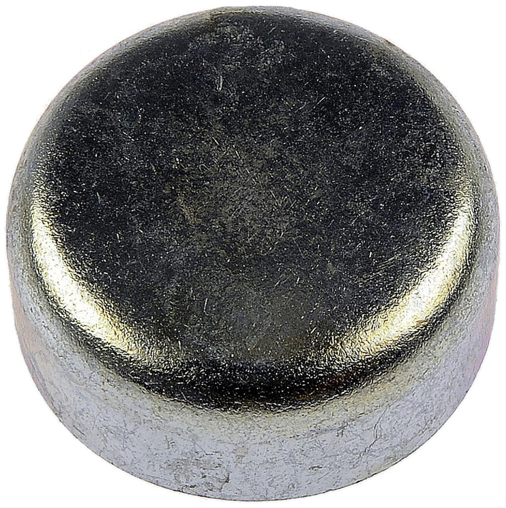 CUP EXPANSION PLUG