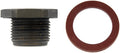OIL DRN PLUG STANDARD