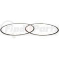 DPF GASKET