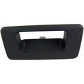 TAILGATE HANDLE