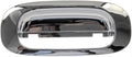 TAILGATE HANDLE