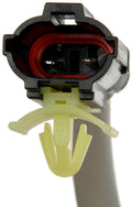 MOTOR/REGULATOR ASSEMBLY