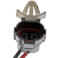 MOTOR/REGULATOR ASSEMBLY
