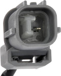 VVT SOLENOID