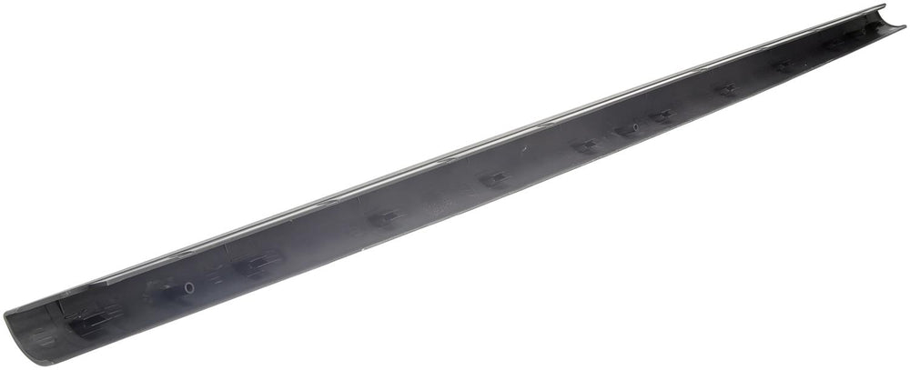 TAILGATE MOLDING ASSEMBLY