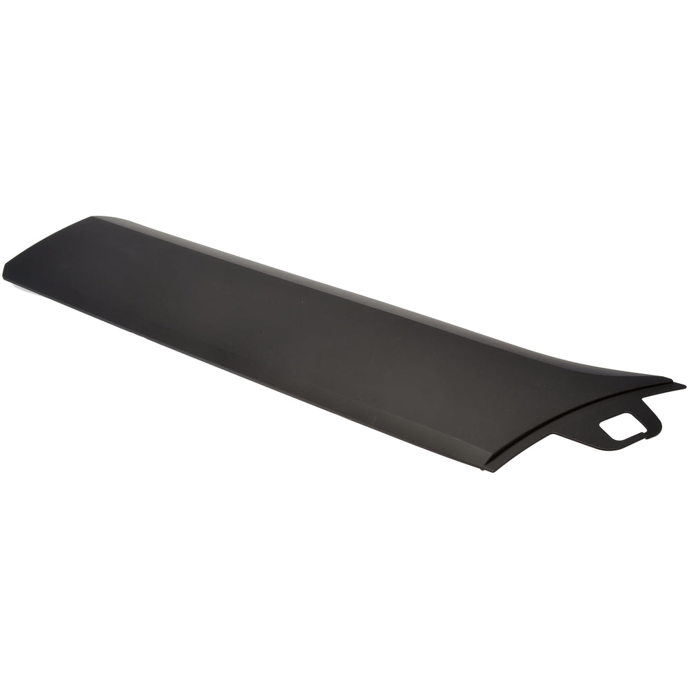 LOWER DOOR MOLDING